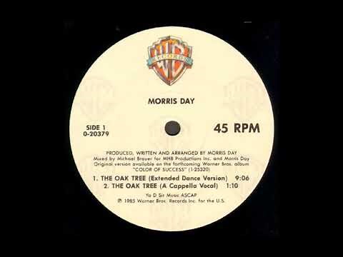 The Oak Tree (Extended Dance Version) - Morris Day