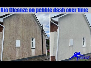 How to soft wash pebble dash (dry dash) wall render with Bio Cleanze