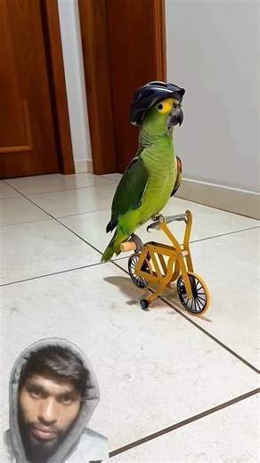 my prota behind scene 😱 #parrot #birds #funny #animals #reels #viralshort ##youtubeshorts #reels