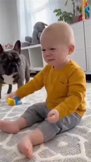 2.9K reactions · 14 shares | Pollo.ai —— From Image to Video, All-in-One Solution ➡️Seamless switching between 10+ AI models (Veo3, Sora2, Kling, etc.) ➡️Complete Workflow: Text-to-Image → Image-to-Video → Intelligent Editing ➡️Access to premium AI templates & flexible customization | Polloai web | Facebook