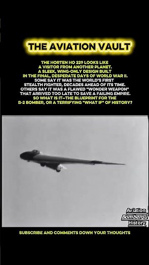 The Ho 229: The Nazi Stealth Jet That Almost Changed Everything
