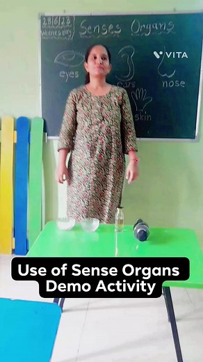 Sense Organs Activity #senseorgans #preschoolteacher #preschoollearningactivities #preschoolactivity #preschoolactivities #funlearning #funlearningforkids #funlearningexperience | KT Kids Preschool