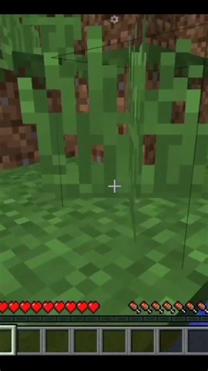 Finally, I play Minecraft Java edition in Mobile 📲