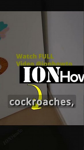 How to Get Rid of Cockroaches Using Cockroach Spray Use part 3