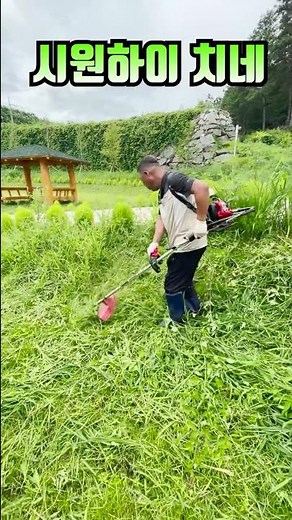 예초는 이렇게...