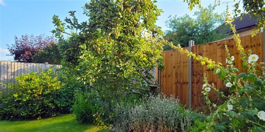 Height restrictions to ownership: Garden fence rules to know in the UK