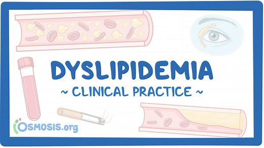 Dyslipidemia: Video & Meaning | Osmosis