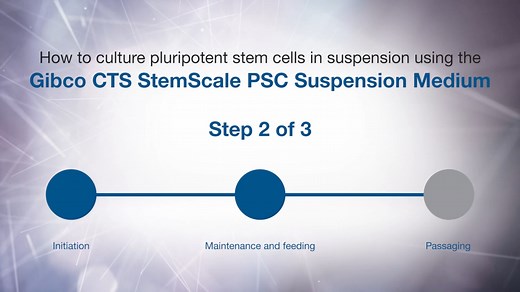 How to culture PSCs in suspension using Gibco CTS StemScale PSC Suspension Medium: Maintenance - Scientific Videos | Thermo Fisher Scientific US