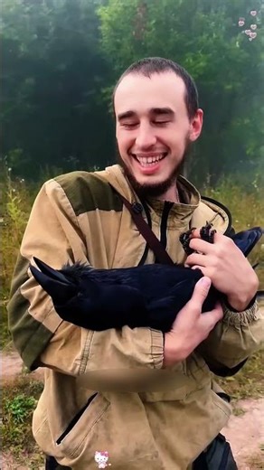 Crows Are Smarter Than You Think 😳🐦 | The Genius Bird Explained!