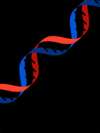 98 % Percent of People have no idea this method exists ... For 15 min manifesting money, there is powerful a manifestation technique, it changes your beliefs on reality in the deepest level of the the subconscious mind.🧠🧘‍♂️ it literally believe it an honest try changed my life and many if us strictly using and attract what they want in life Wealth, money, health, relationship, relaxing, successful life 🧲 Using this method Watch fully video link in bio #manifest #manifestation #lawofattractio