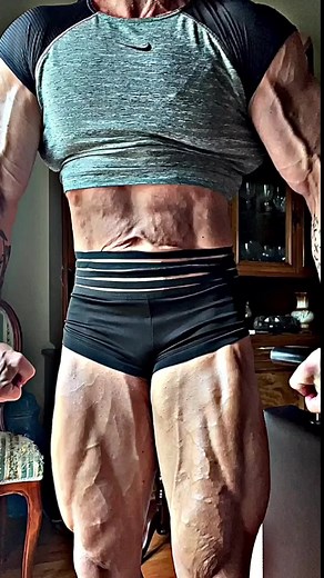 Last year contest shape