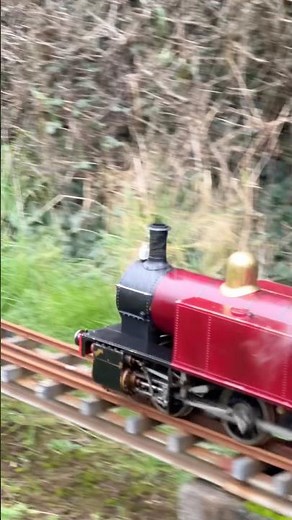 STEAM POWER! Incredible miniature steam locomotive in action 🚂💨 #MiniatureRailway