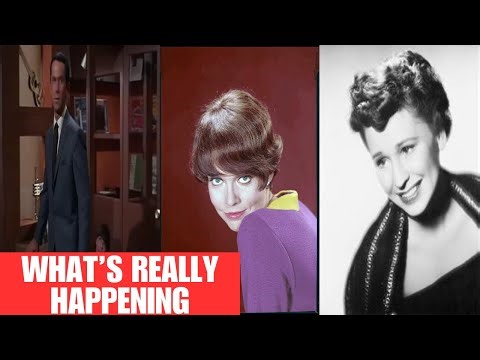 Agent 99 from 'GET SMART': Uncovering the Mystery of Her Enigmatic Purring on Tiger Skins!