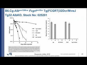 The pharmacokinetic consequences of human IgG1 expression in human FcRn Tg32 mice