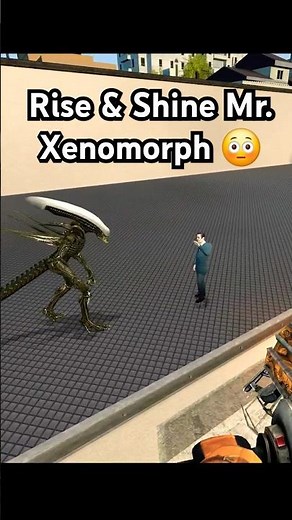 Rise and Shine Mr. Xenomorph #xenomorph #avp #gmod