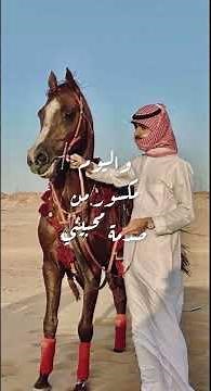 ذكرى عزيزة | سعود الصليلي - كاملة🤍