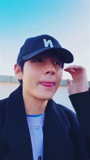 V and RM: The Dynamic Duo is Back! 🐨🐯