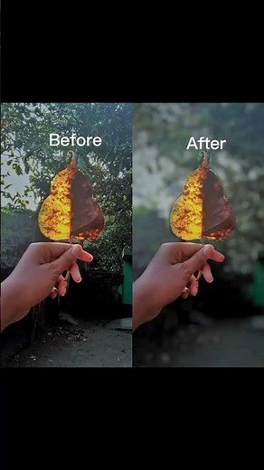 HOW TO BLUR BACKGROUND IN SNAPSEED | HOW TO BLUR PHOTOS ON SNAPSEED 2024#photography #photoediting