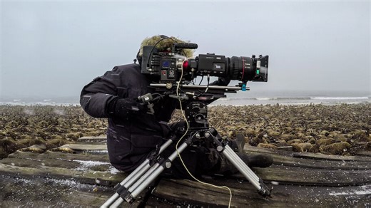 Watch Our Planet - Behind The Scenes | Netflix Official Site