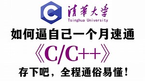 【整整300集】一站速通！这绝对是2025最新最全最细的C语言/C  零基础教程，小白逼自己一周学完，C/C  编程技术猛涨！全程通俗易懂，学不会我退出IT界！