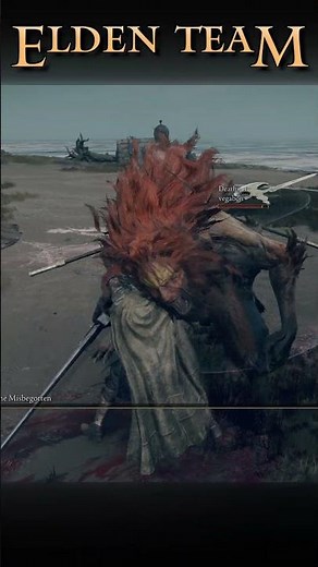 Elden Ring seamless co-op gameplay