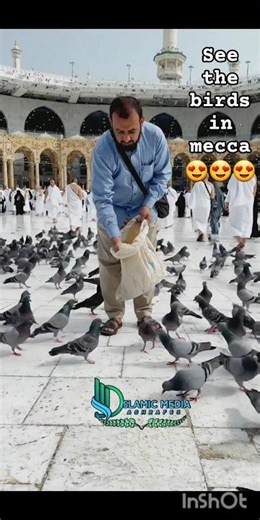 LA LA Arabic Nasheed - Kun Anta (كن أنت) Humood with English Lyrics Beautiful Status #islamicstatus