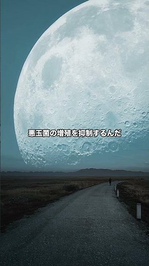 【衝撃】細菌は0.001mmだが、あなたの体には37兆個も住んでいる。善玉菌の驚くべき役割の真実とは？