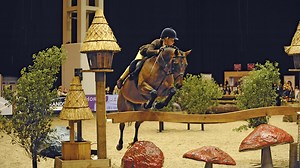 Working hunter pony classes: judges‘ tips on how to win *H&H Plus*