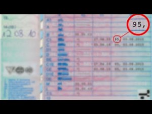 Atestatele profesionale în Germania!Codul 95! Reînnoirea atestatului în Germania!