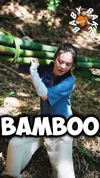 Ancient Bamboo Paper Making: From Raw Bamboo to Fine Handmade Paper#facts#bamboo#traditional#craft