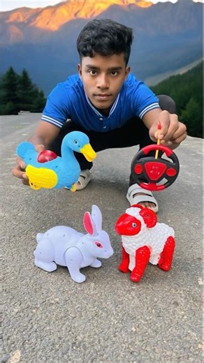 Remote control 1 Ta notun Sheep And Rc Rabbit unboxing 😍