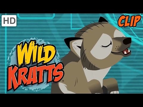 Wild Kratts - Howling Wolves