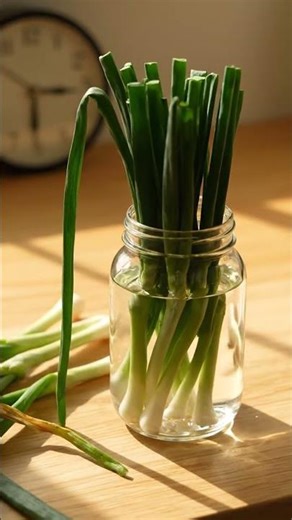 Keep green onions fresh upright in water - Quick kitchen hack
