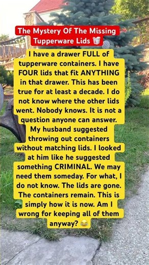 The Mystery Of The Missing Tupperware Lids 🥡