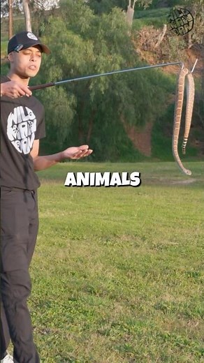 How To Use A Snake Hook Properly part 2