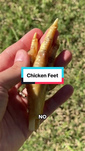 Healthy Dog Treats: The Benefits of Chicken Feet