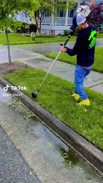 #landscape #everyone #grass #lawncare