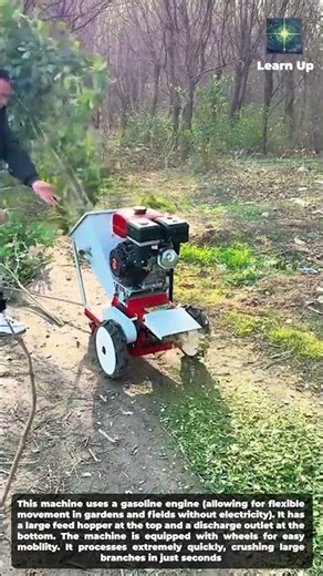 How to make compost from leaves at home