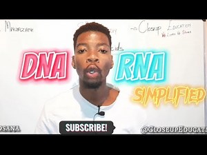 Discover the Untold Story of Nucleic Acids with SirMnumzane!