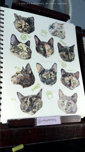 Tortoiseshell cat portraits