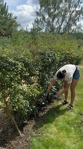Front garden clean and tidy *gifted #gardenclean #patioclean #satisfyingcleaning #satisfyingcleans #outdoorclean #windowclean #doorclean #cleanwithme #cleaningmotivation | Lou’s Home