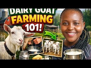 DAIRY GOAT FARMING/ HOW TO START AND RUN A SUCCESSFUL DAIRY GOAT FARM