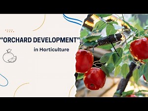 Planning & Development of Orchards | Horticulture Lecture