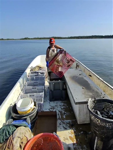 Crab stand open today!