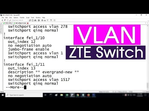 How to configure VLAN on the ZTE Switch | NETVN