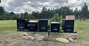 Residents in Morrison neighborhood say mail delivery has been inconsistent for months