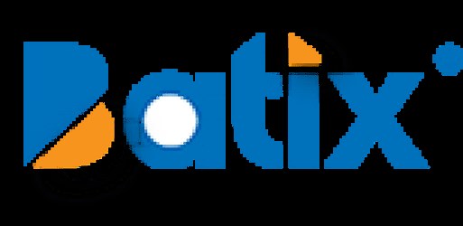 home - BATIX (Bâtiments et Travaux Publics)