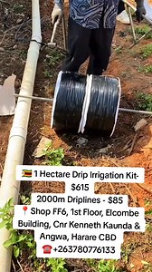 616K views · 4.1K reactions |  For only $615 you can have a full...