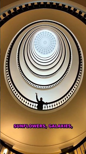 Geometry Secret: See Patterns Everywhere! | Education