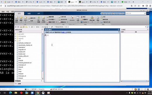 远程服务器启动matlab